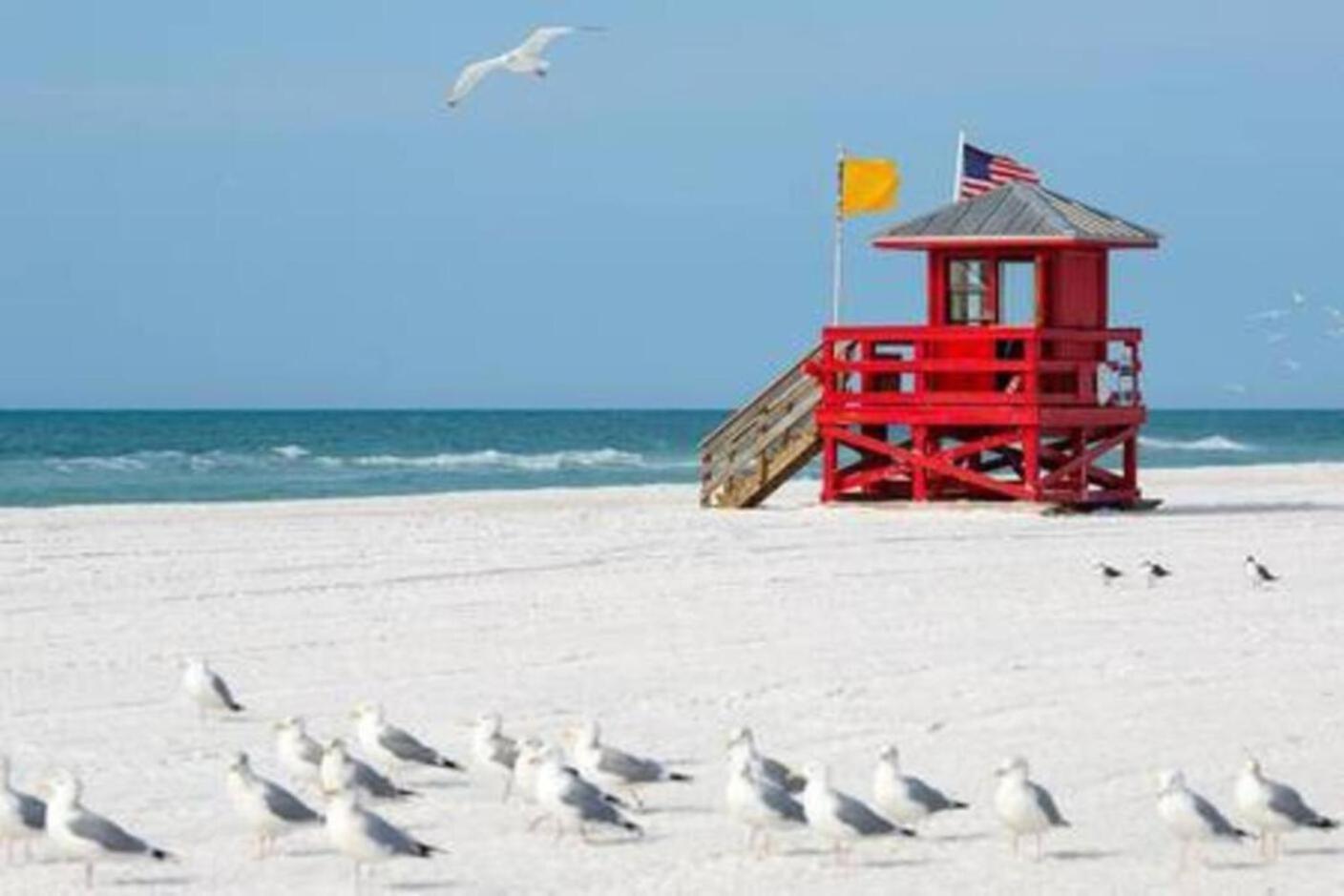 Fantastic Island House 1 Mile To The Beach With Heated Pool Sarasota Zewnętrze zdjęcie